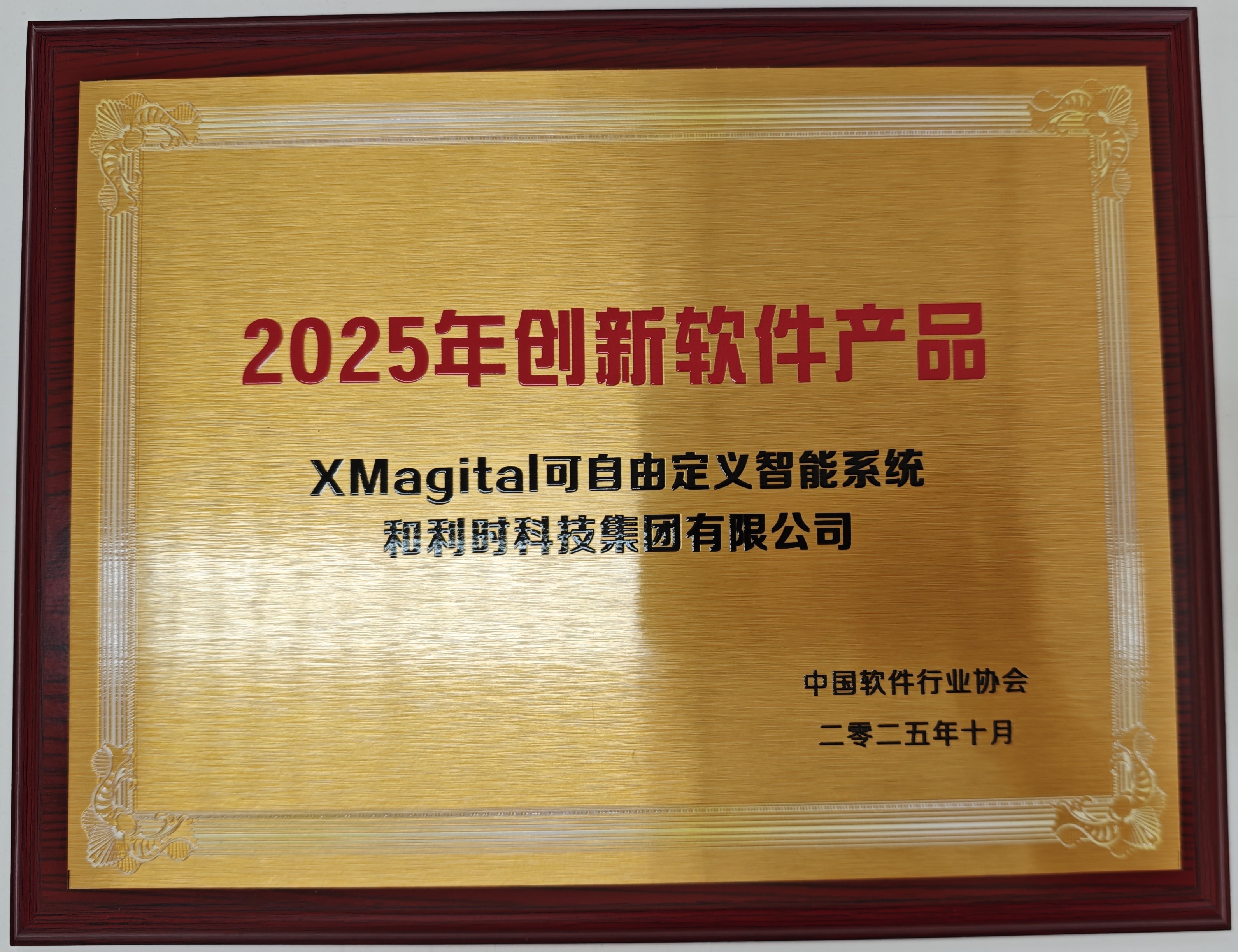 2025年创新软件产品-XMagital可自由定义智能系统